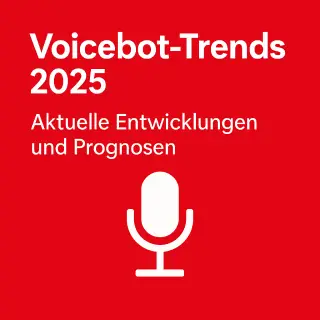 Voicebot Trends 2025